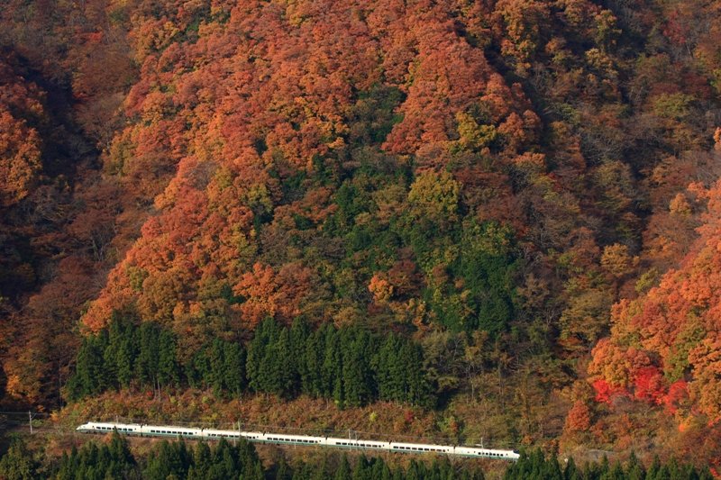 b0180907_22402377.jpg