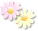 c0214615_084593.gif