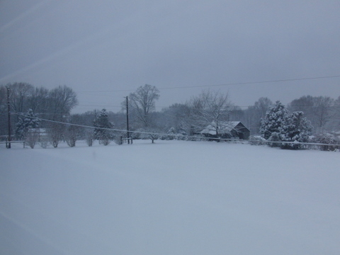 c0151122_5105054.jpg