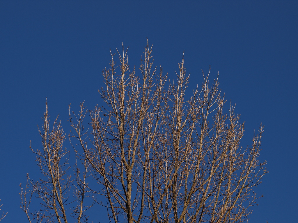 b0137723_2254214.jpg