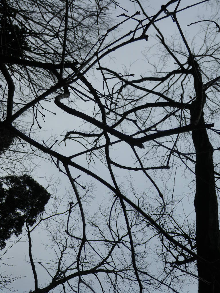 c0189724_20114568.jpg