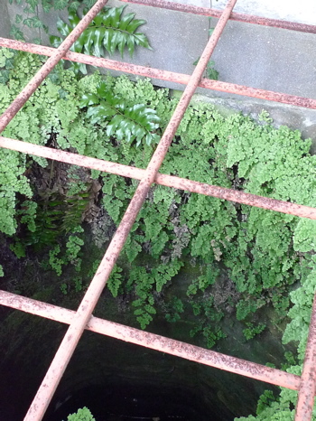 f0165831_7201420.jpg