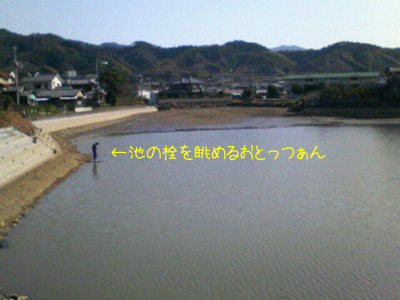 f0008935_16331374.jpg