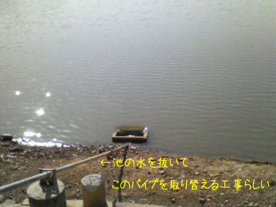 f0008935_16333461.jpg