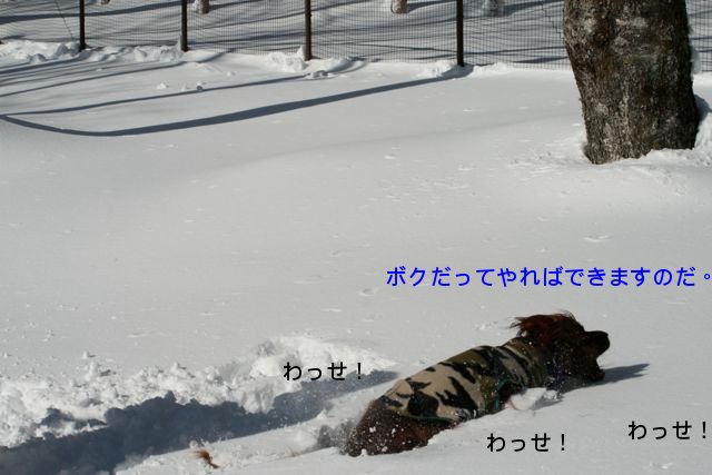 f0039538_21153586.jpg
