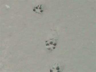 c0086746_12102633.jpg