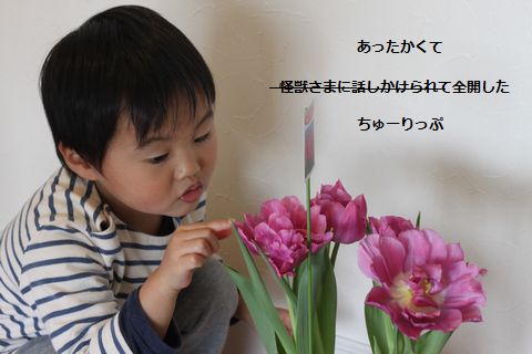 a0090451_0174099.jpg