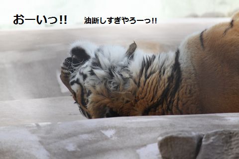 a0090451_2317925.jpg
