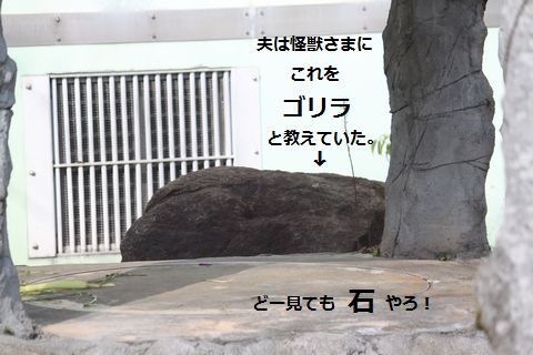 a0090451_23183416.jpg