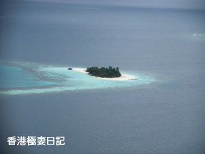 f0190653_940055.jpg