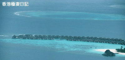 f0190653_9402375.gif