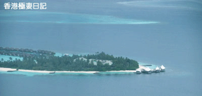 f0190653_9403311.gif