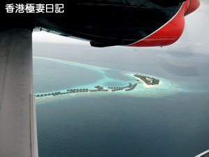 f0190653_941166.jpg