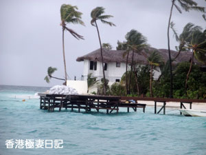 f0190653_941694.jpg