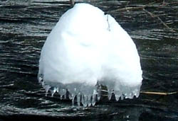 c0097856_024193.jpg