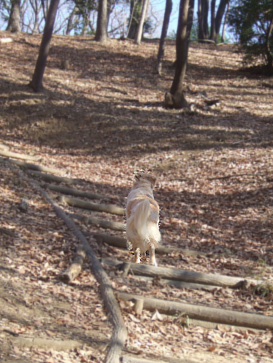 c0097558_231815.jpg