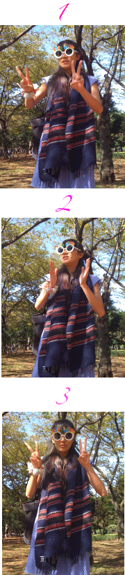 f0071958_1162118.gif