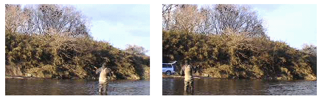f0084561_11534330.gif