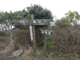 c0042869_2031136.jpg