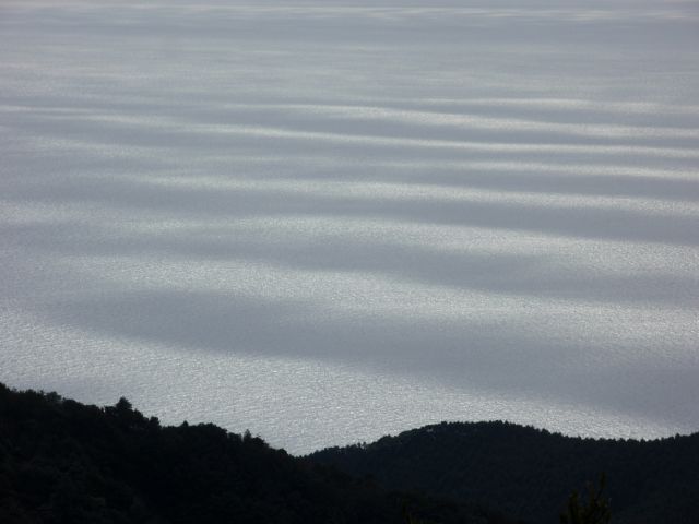 c0042869_20442298.jpg