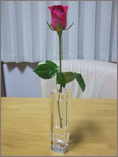 c0221169_2315595.jpg