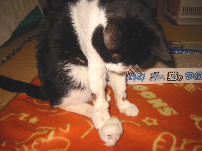 e0031572_20474627.jpg
