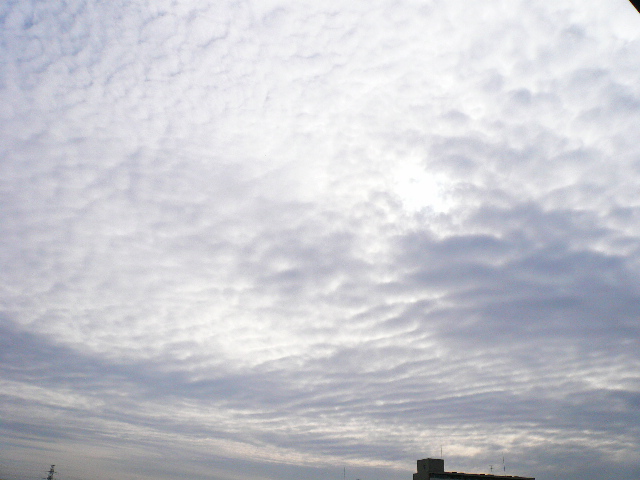 d0147774_17151564.jpg