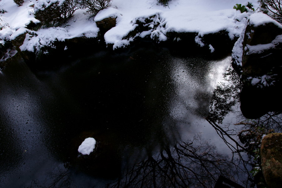 c0106977_1543996.jpg