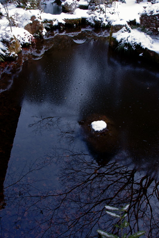 c0106977_19333666.jpg