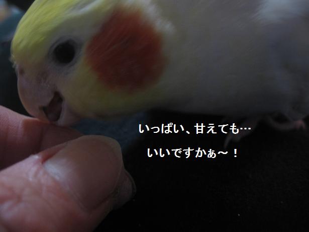 e0027078_22153491.jpg