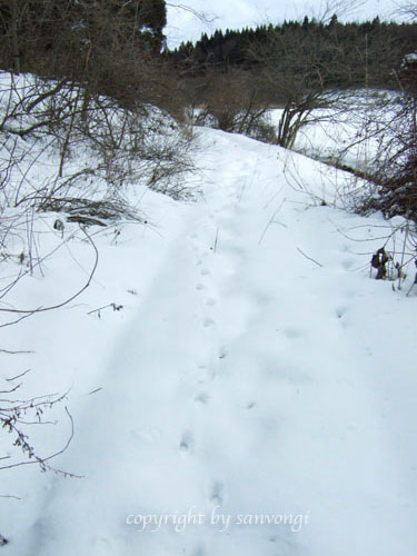 c0195281_10483724.jpg