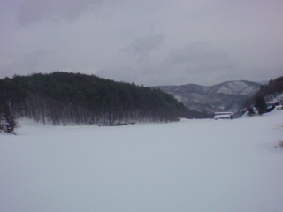 e0033384_1136094.jpg