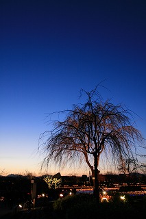 c0142693_19335237.jpg