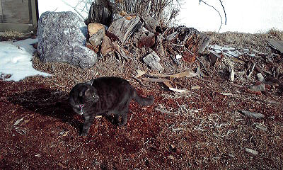 c0206596_22275018.jpg