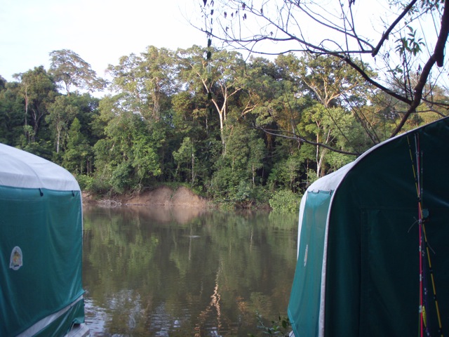 f0210098_5351871.jpg