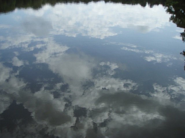 f0210098_5442159.jpg