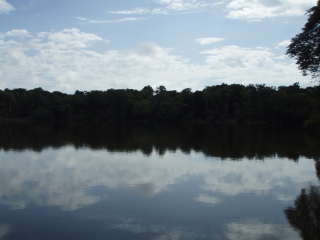 f0210098_5462352.jpg