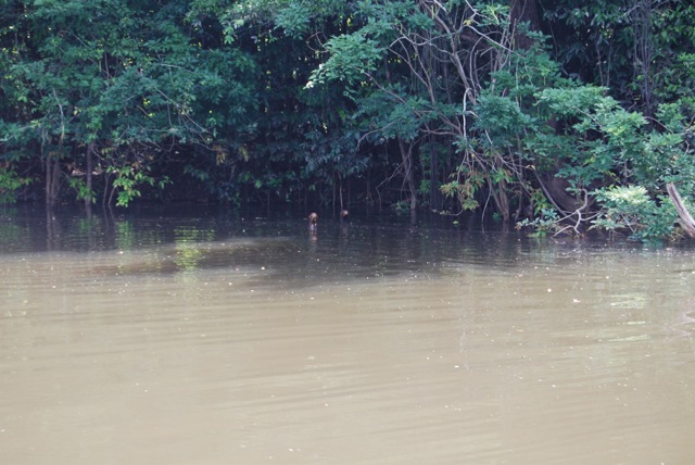 f0210098_5541967.jpg