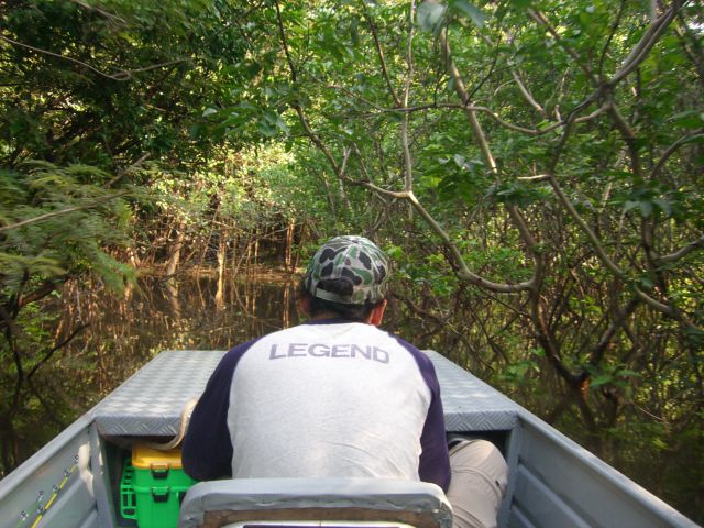 f0210098_643974.jpg
