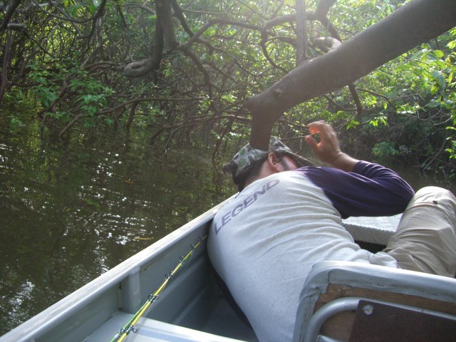 f0210098_651993.jpg