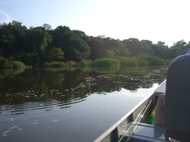 f0210098_662019.jpg