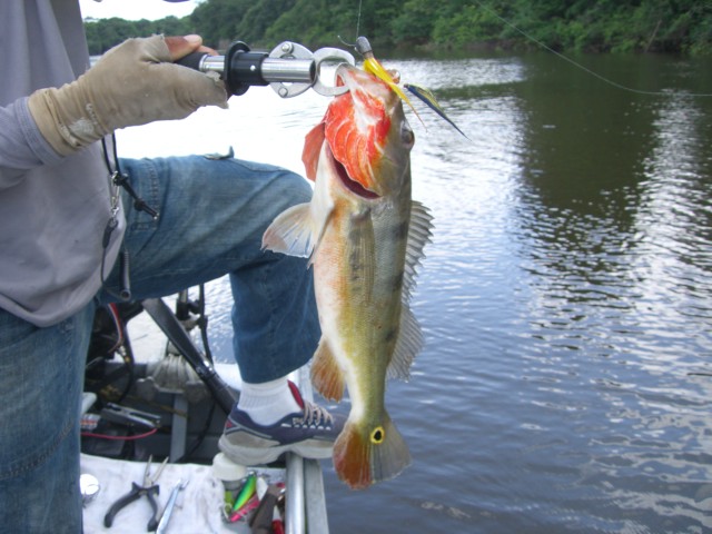 f0210098_694662.jpg