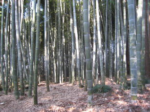 e0033301_22571710.jpg