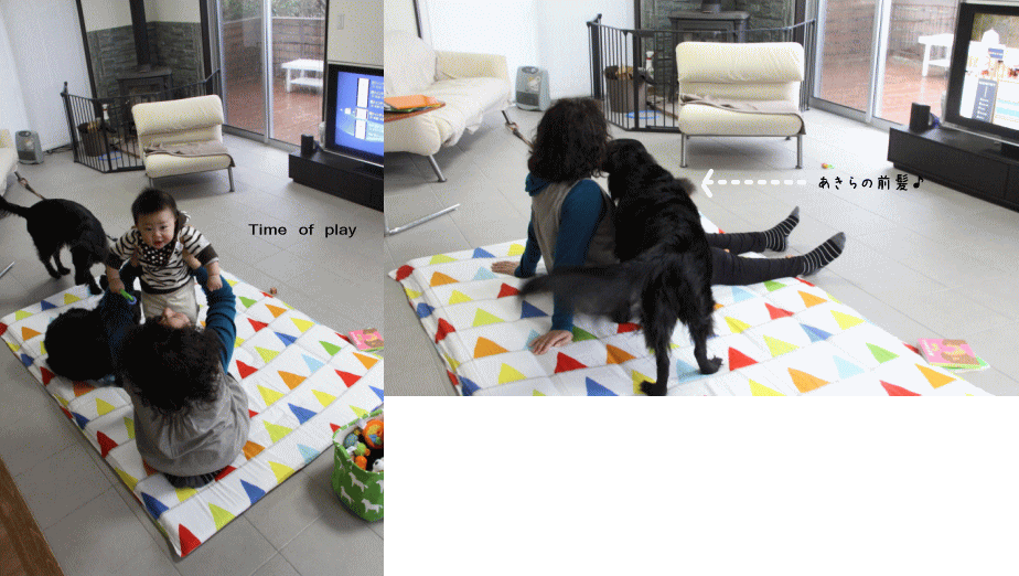 c0017311_218390.gif
