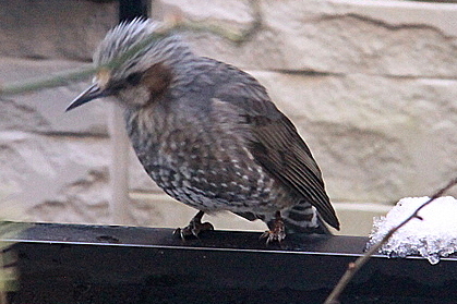 b0165522_20495873.jpg