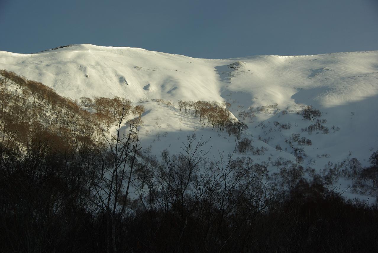 b0062024_911494.jpg