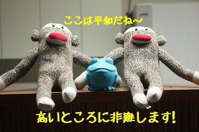 e0181928_20415579.jpg