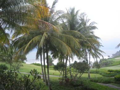 f0162528_10183838.jpg