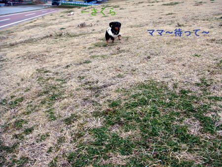 c0117831_19184018.jpg