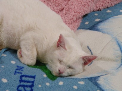 f0002833_13201388.jpg